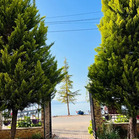 Beachfront * Pogradec